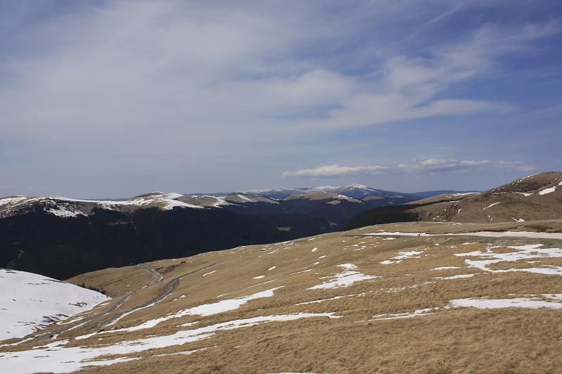 _MG_9796.JPG
