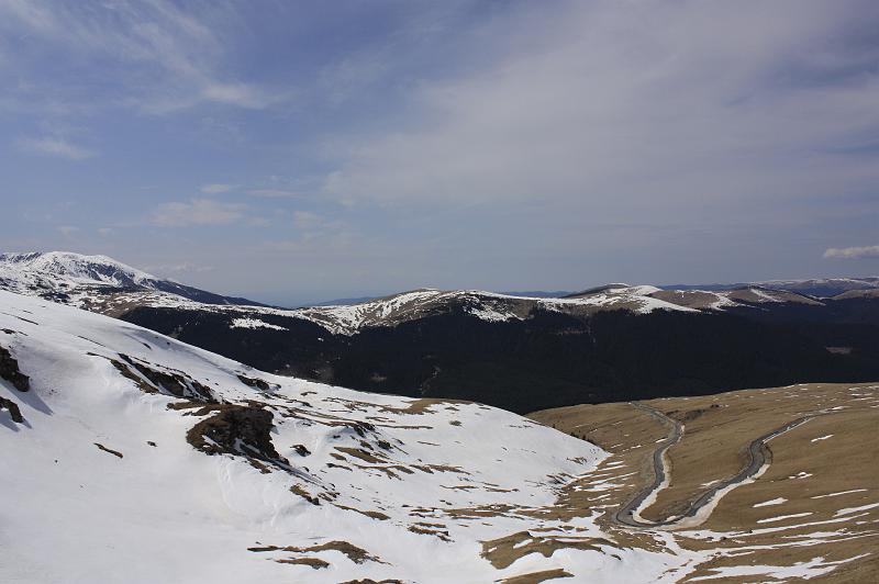 _MG_9798.JPG