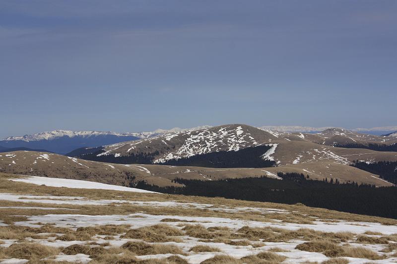 _MG_9804.JPG