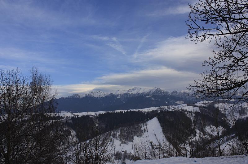 _MG_9053.JPG