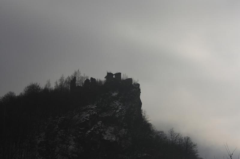 _MG_8855.JPG