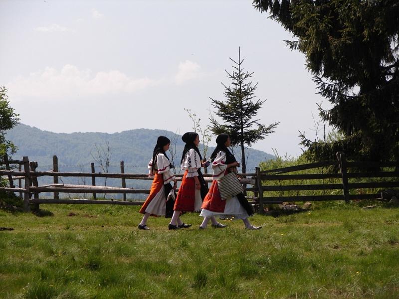 DSC05887.JPG