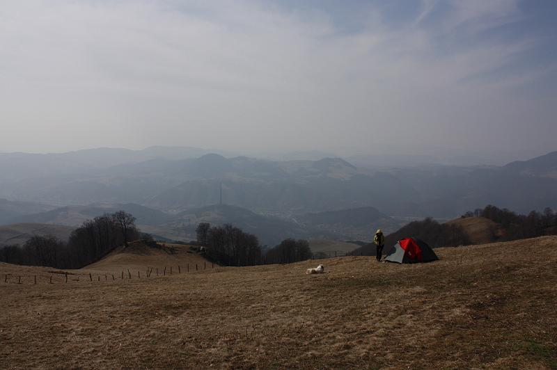 _MG_9558.JPG