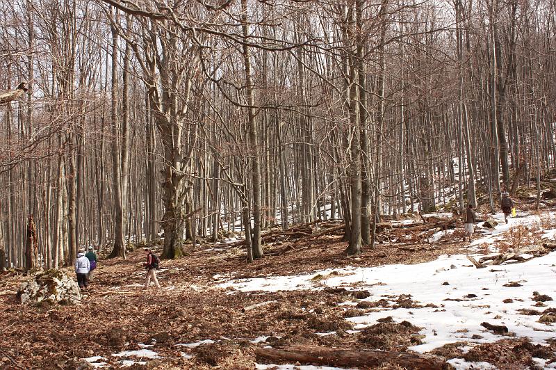 _MG_9619.JPG