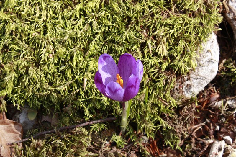 _MG_9653.JPG