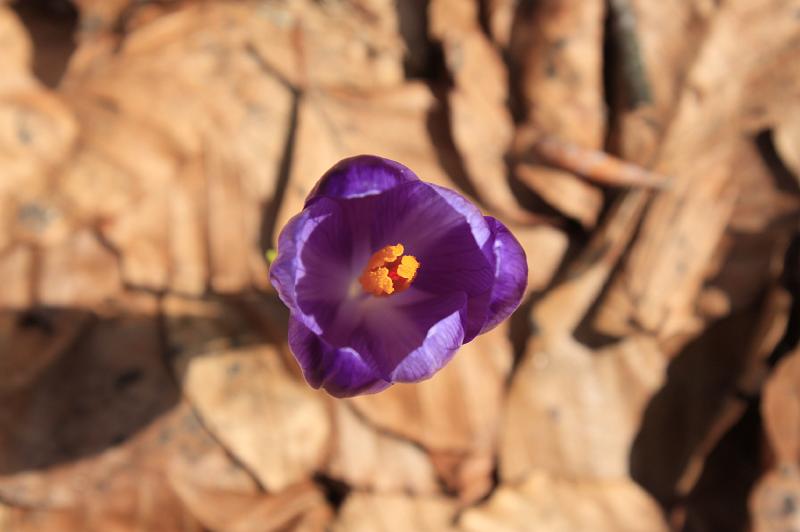 _MG_9665.JPG