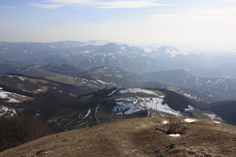 _MG_9377.JPG