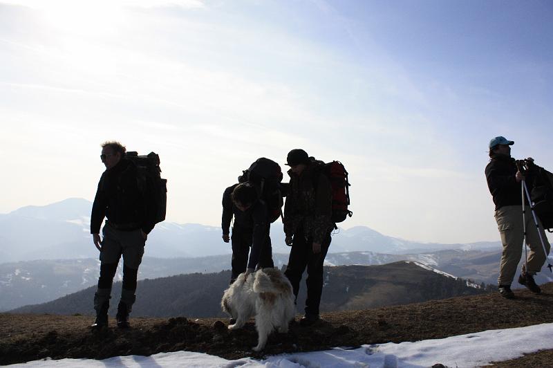 _MG_9401.JPG