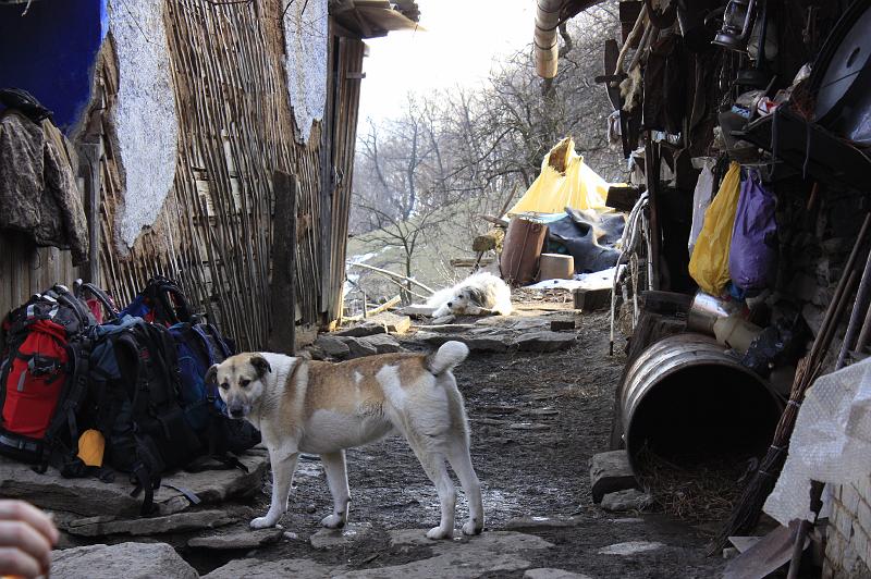 _MG_9459.JPG