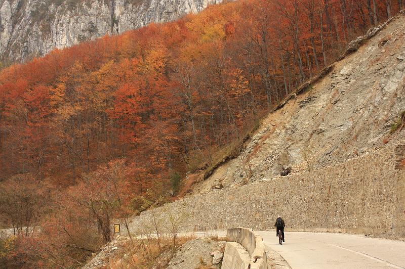 _MG_2464.JPG