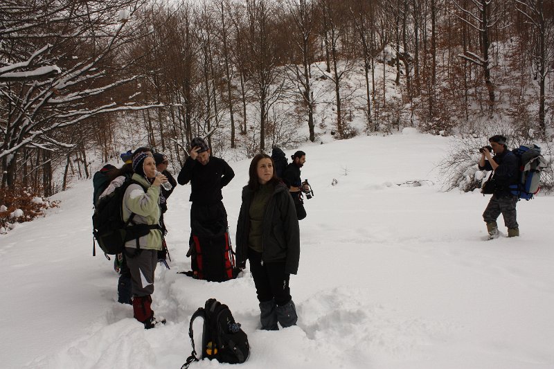 _MG_3633.JPG