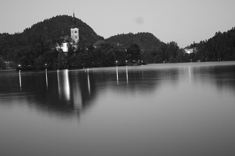 _MG_5919.JPG