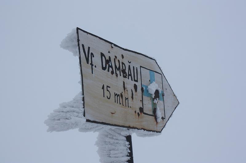 118.JPG