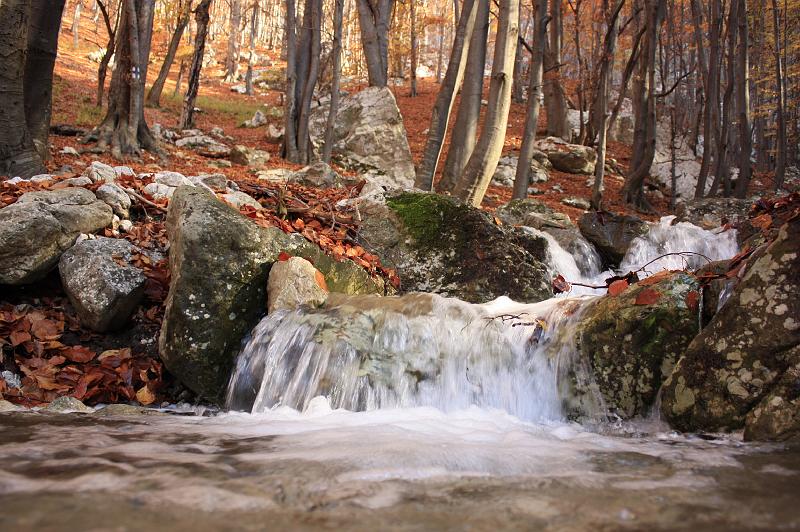 _MG_8087.JPG