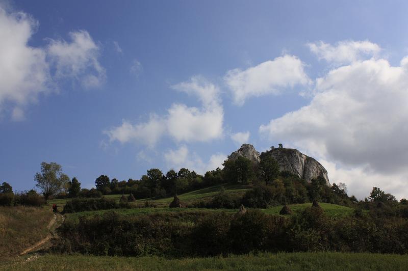 _MG_7264.JPG