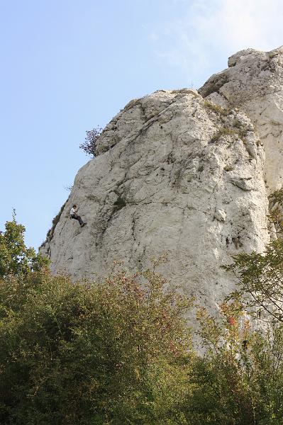 _MG_7267.JPG