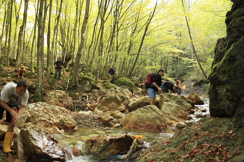 _MG_6943.JPG